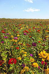 《战神：诸神黄昏》全新演示 展示矮人国关卡场景